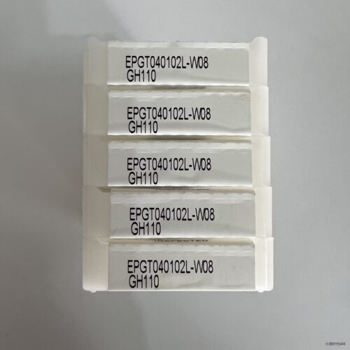 EPGT040102L-W08GH/NS95