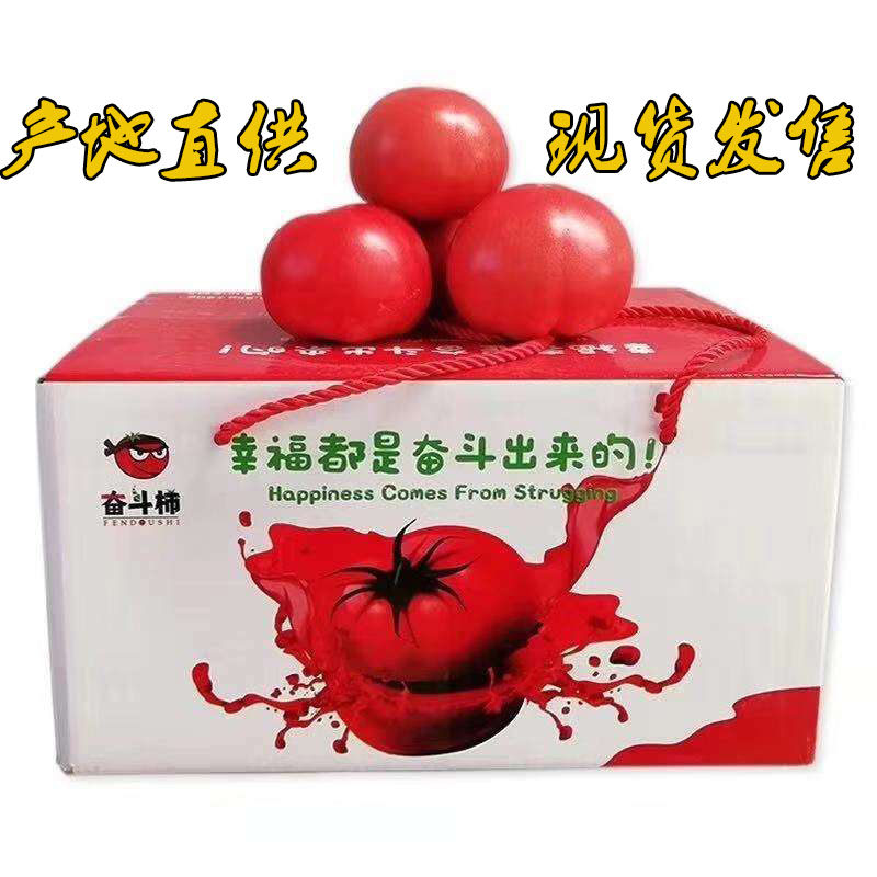 奋斗柿5斤新鲜生吃普罗旺斯水果西红柿番茄自然熟超甜大有机番茄