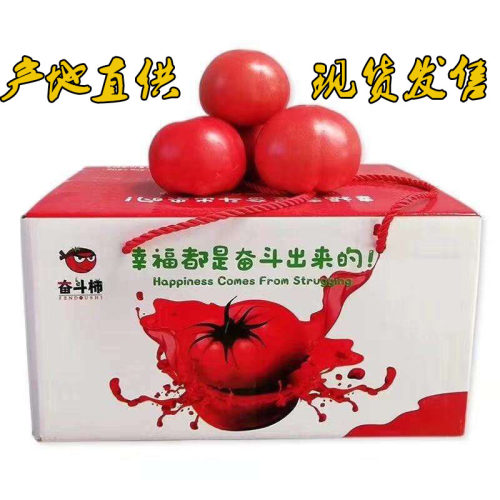 奋斗柿5斤新鲜生吃大有机水果