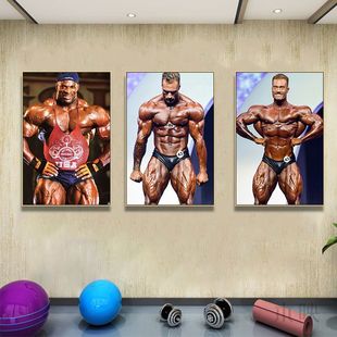 施瓦辛格挂画罗尼库尔曼健身房墙面装饰健美俱乐部装饰画铁馆壁画