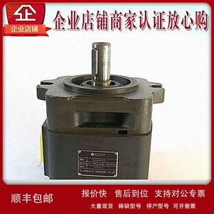 BIG4064H 议价HESAPP油泵BIG4050H A01FR A15 BIG3040H