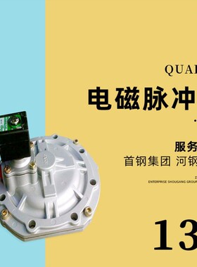 ASCO电磁脉冲阀SCXE353.060/SCG353A060替阿斯卡淹没式电磁脉冲阀