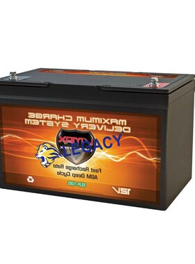 美国VMAX蓄电池 SLR-100 12V100AH 精密仪器 深循环 AGM电池