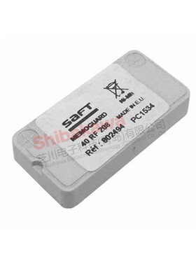 40RF208 802494 40 RF 208 SAFT 镍氢充电电池 2.4V