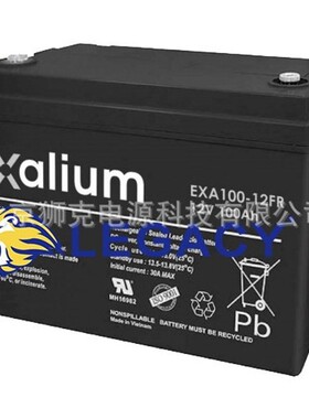 Exalium蓄电池 EXA100-12FR 12V100AH UPS电源 直流屏 光伏系统用