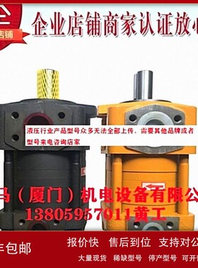 议价CHENGJIE诚捷齿轮泵NT5-G80F NT2-G10F NT2-G12F NT2-G16F
