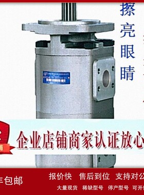 议价合肥长源双联齿轮油泵CBG2050/2040-BFHR BFPR