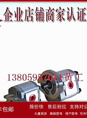 议价台湾康百世KOMPASS齿轮泵P107RN01GT P107RP01GT P107RU01GT