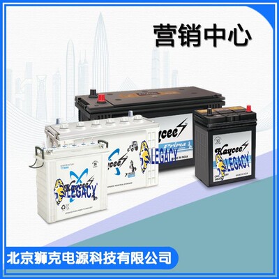 Kaycee蓄电池 凯西电池 EV120 OPZS OPZV 120AH 100AH不间断电源