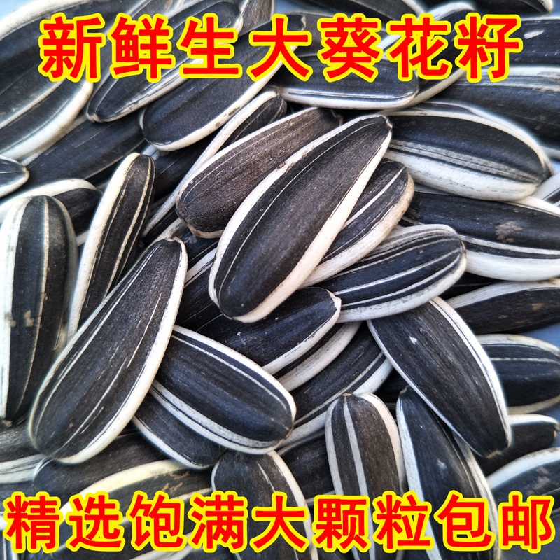 祁满香生葵花籽/净重无干燥剂