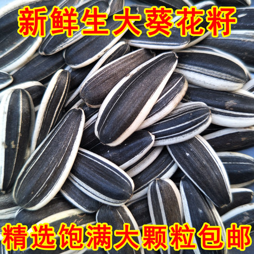 带壳生葵花籽原味生瓜子内蒙新鲜葵瓜子非炒熟大颗粒瓜子1-5斤 - 封面