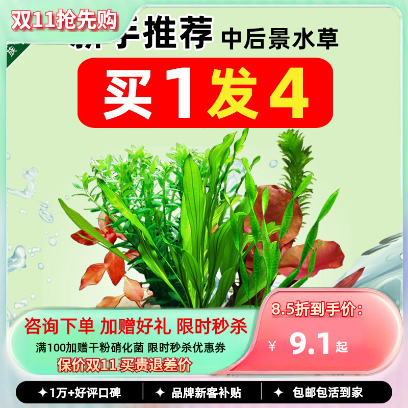 新手懒人活体淡水鱼缸水族箱装饰增氧中后景水草造景植物套餐包邮