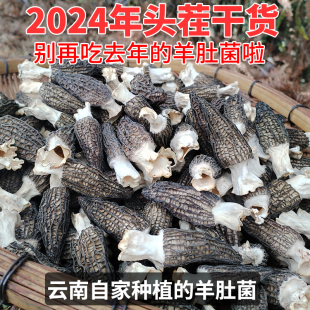 2024年云南羊肚菌头茬干货精选羊肚菇特产营养菌菇类菌农源地发货