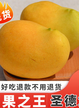 圣德龙芒果 正宗保山圣德隆芒果新鲜水果更好香甜无丝包邮