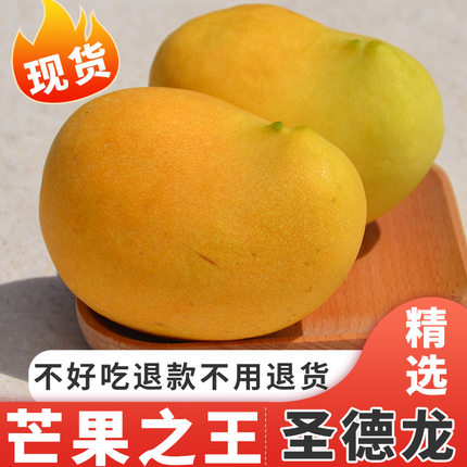 圣德龙芒果 正宗保山圣德隆芒果新鲜水果更好香甜无丝包邮