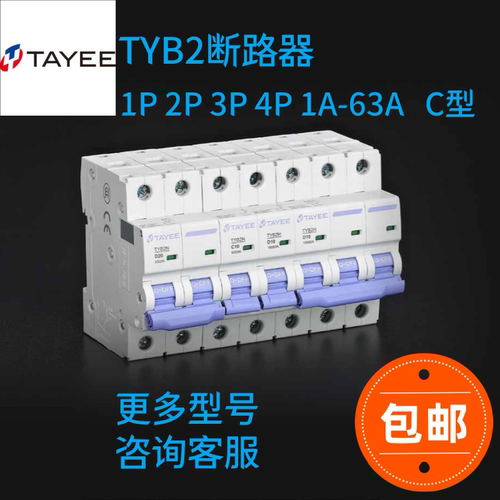 上海天逸TYB2N空气开关保护器