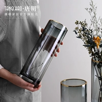 Nordic Light Luxury Gold Edge Glass Transparent Pright Tube Vase Swing Flow