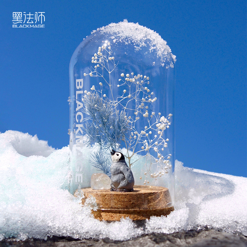 浮冰南极州微景观永生花玻璃罩礼盒生日礼物生态瓶摆件送同学朋友