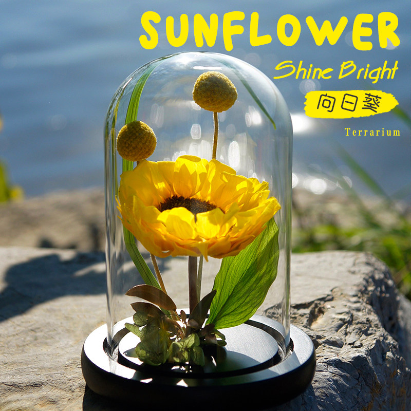 限量向日葵进口永生花真花玻璃罩礼盒生日礼物摆件送朋友爱人长辈,鲜花速递/花卉仿真/绿植园艺,永生花,淘宝优惠券,粉丝福利购,淘宝优惠卷