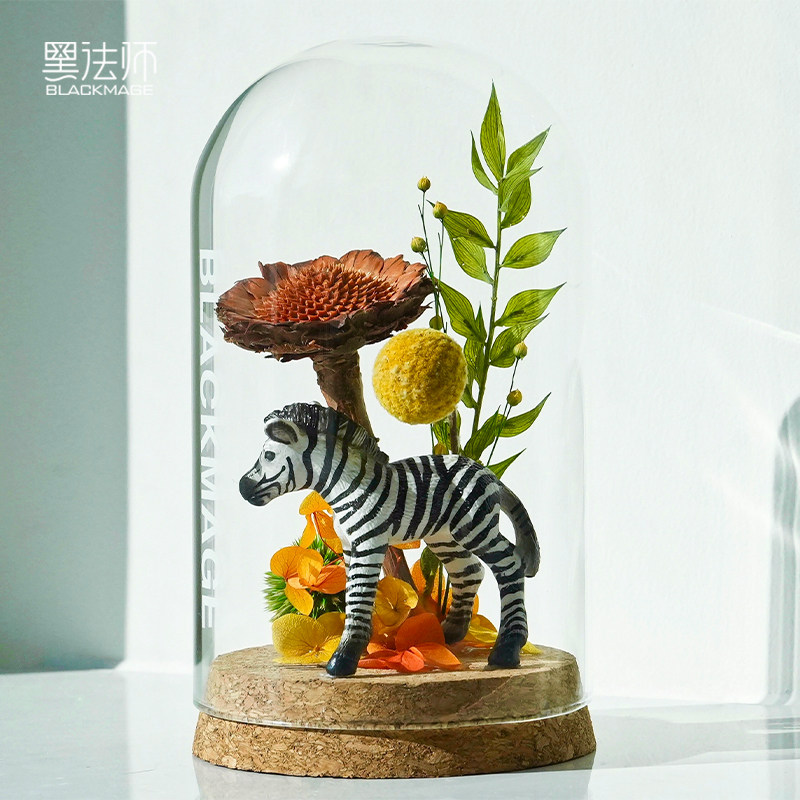 南非进口永生花自然美好治愈