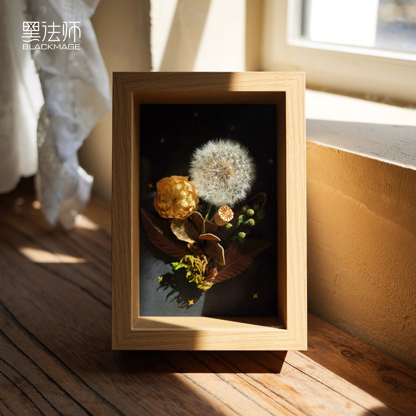 A级永生蒲公英真玻璃立体装饰画