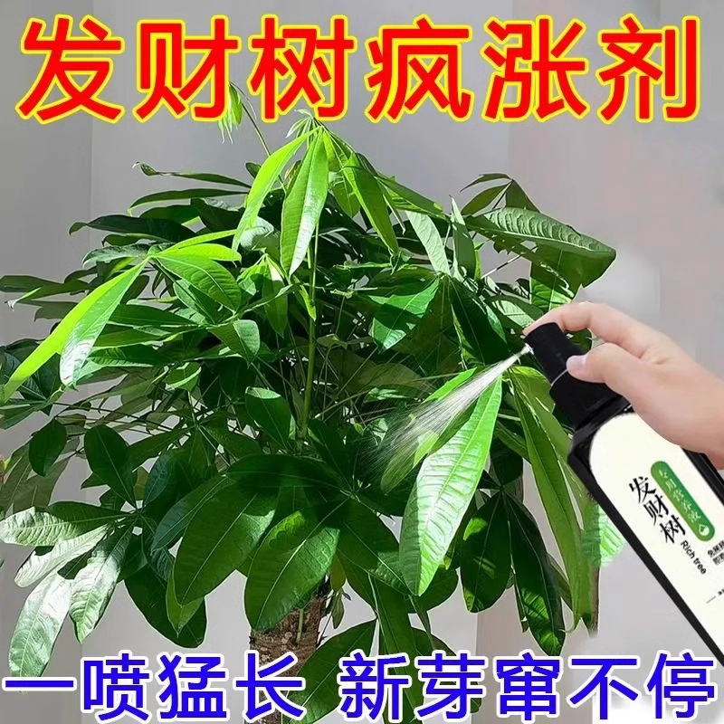 发财树营养液【发黄速救】专治黄叶烂根枯枝生根壮苗促绿叶专用肥