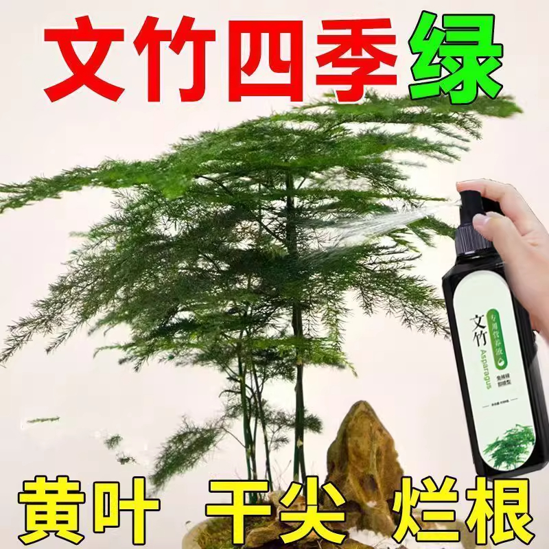 好用特价】文竹专用肥营养液治叶子发黄枯瘦干尖烂根落叶促生长