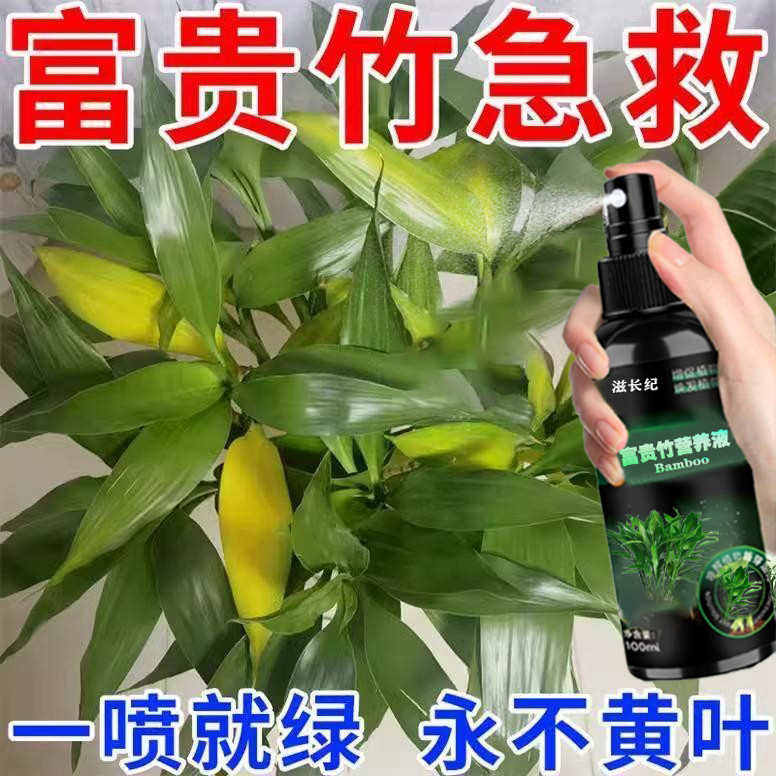 植物营养液通用型家用盆栽发财树富贵竹绿萝水培花卉绿植养花肥料