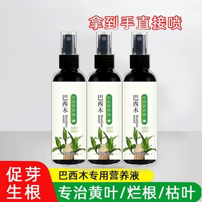 巴西木专用营养液家用盆栽养花种花卉绿植物水培土培通用肥料