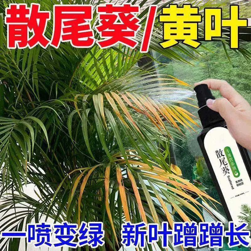 散尾葵营养液助生长催芽促绿叶防治黄叶干尖烂根枯萎落叶专用肥料,鲜花速递/花卉仿真/绿植园艺,家庭园艺肥料,淘宝优惠券,粉丝福利购,淘宝优惠卷
