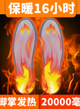 锂电池充电鞋垫冬天冬季发热保暖电暖恒温加热鞋垫女可行走12小时