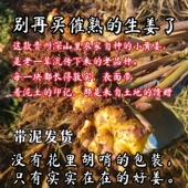 生姜板姜老姜农家自种新现挖鲜带泥发货 小黄姜 来自贵州深山