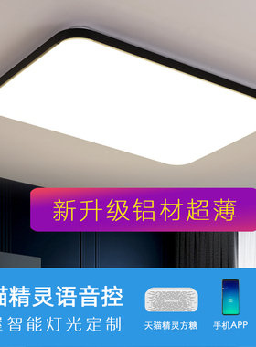 北欧简约现代大气1米客厅灯大厅高亮LED吸顶灯铝材黑色银色卧室灯