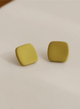 S925银针磨砂小方块耳钉小众设计感耳环气质韩国百搭新款潮耳饰