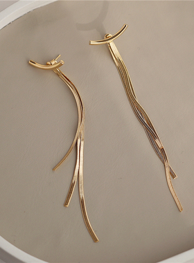 S925银针显脸瘦利器！时髦金属流苏长款耳环气质韩国设计感耳饰