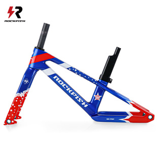 ROCKFISH洛菲狮碳纤维儿童平衡车12寸车架定制改装 PRO 超轻RS