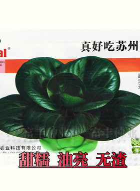 理想真好吃苏州青青梗菜种子甜糯无渣高产耐寒抗病秋季播蔬菜种子