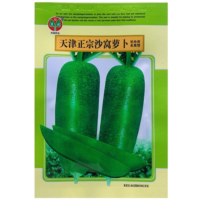 天津正宗沙窝萝卜种子生吃甜脆青萝卜种子秋季水果萝卜种子