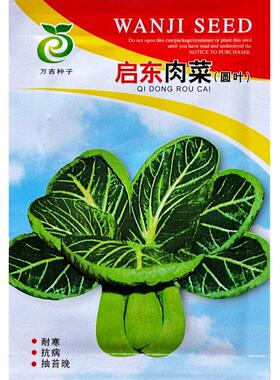 启东肉菜种子深绿叶厚圆叶青菜种子口感糯秋冬耐寒青菜种子15克