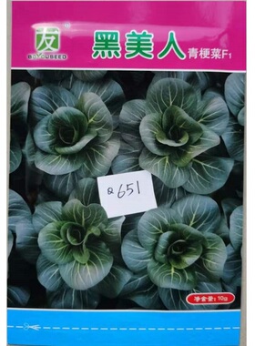 黑美人青梗菜种子墨绿色耐寒矮脚苏州青菜种籽大头束腰秋季青菜籽