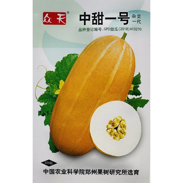 中甜一号黄皮甜瓜种子早熟金黄皮黄金蜜香瓜种子耐低温耐弱光