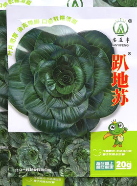 安益丰 趴地苏青菜种子矮脚油亮苏州青种子肥厚软糯清甜青菜种籽