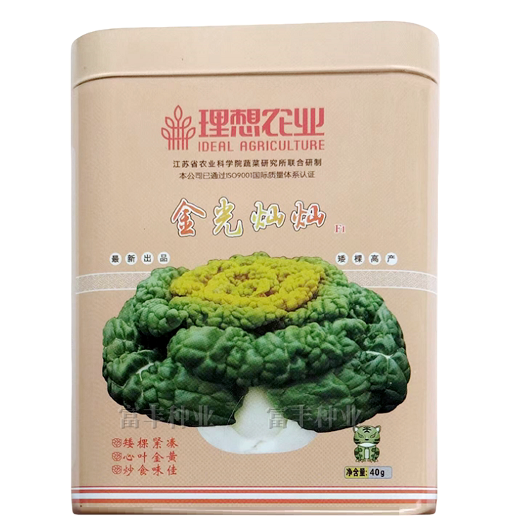 理想农业黄心乌种子金光灿灿金碧辉黄黄心乌乌塌菜种子大田基地