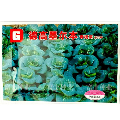 德高墨尔本苏州青青梗菜种子矮萁黑绿高产耐寒青菜籽秋季蔬菜种子