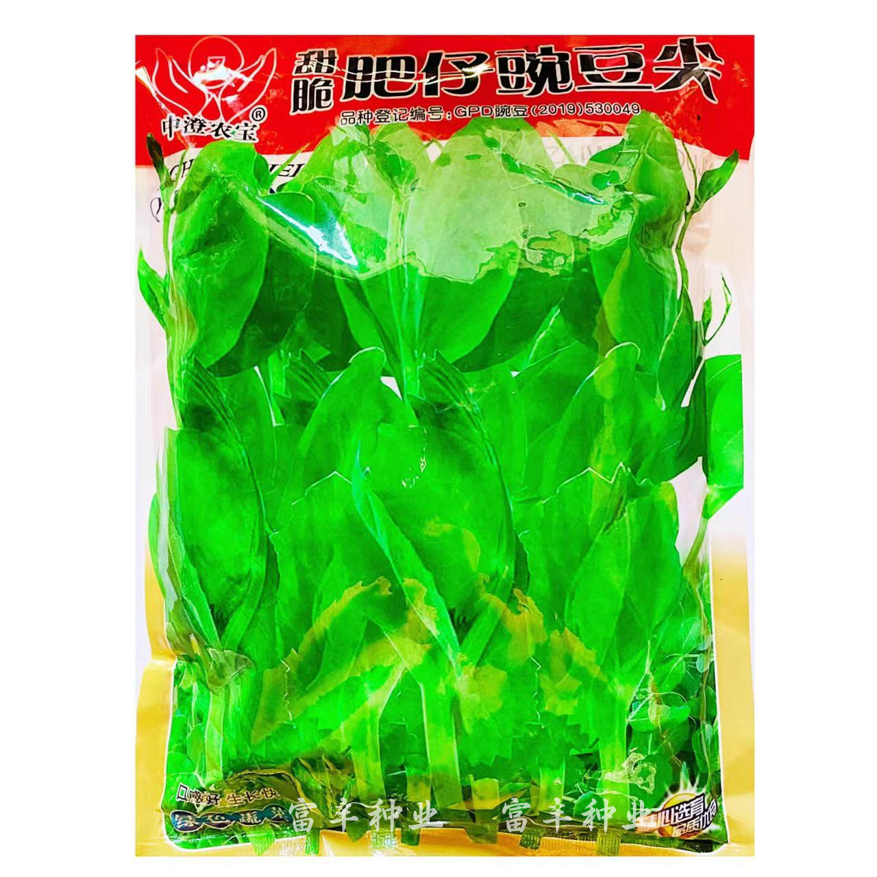 肥仔豌豆苗种子甜脆无须碗豆尖芽苗菜种籽阳台农家耐寒蔬菜种孑