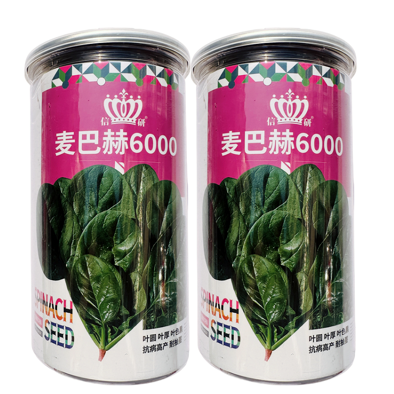 麦巴赫6000菠菜种子杂交一代长椭圆叶菠菜种子易捆扎抗性强300克