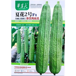 夏花2号肉丝瓜种子杂交花点肉丝瓜种子脆甜花点大肉丝瓜蔬菜种孑