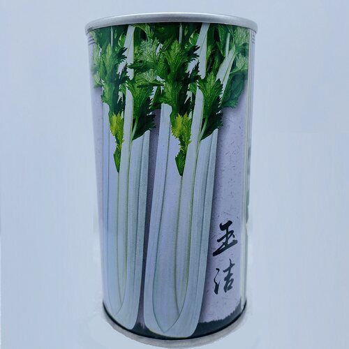 玉洁实芹白芹菜种子耐寒耐热高产香浓抗病白杆实心芹菜种子蔬菜籽
