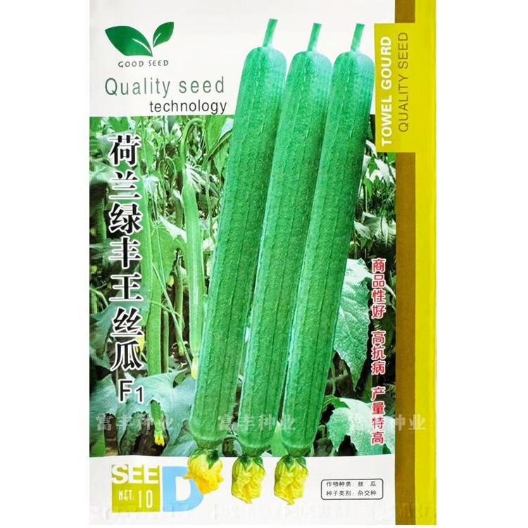 丝瓜种子高产耐热早熟