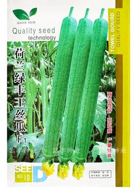 长丝瓜种子荷兰绿丰王丝瓜种子抗寒耐热鲜绿长棒丝瓜种子无尖头